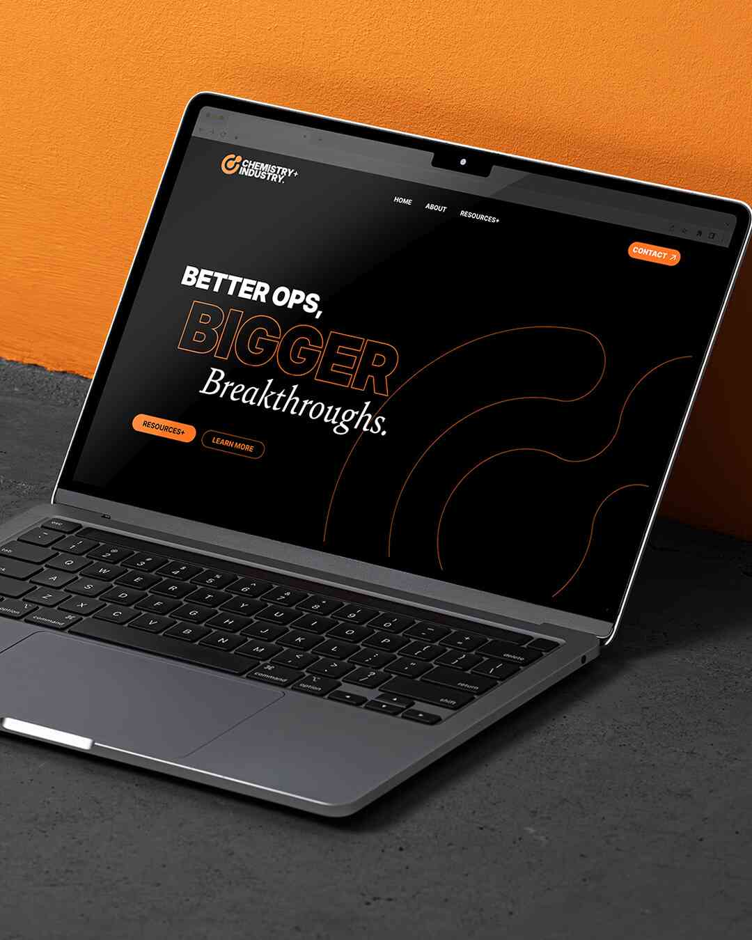 WebPortfolioImage