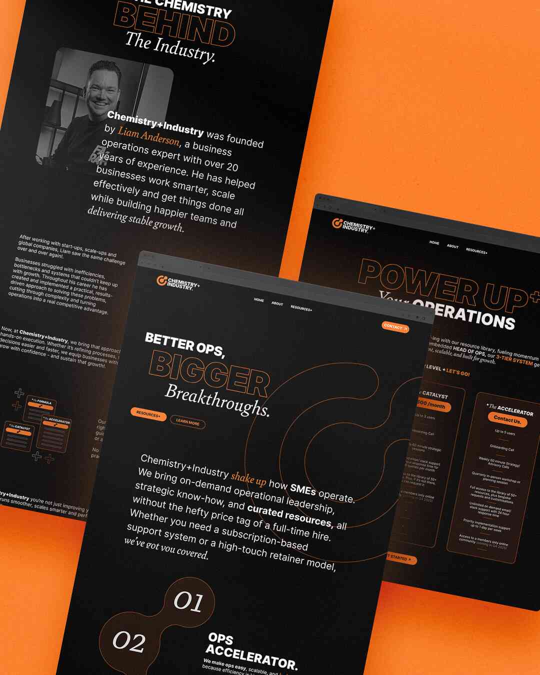 WebPortfolioImage