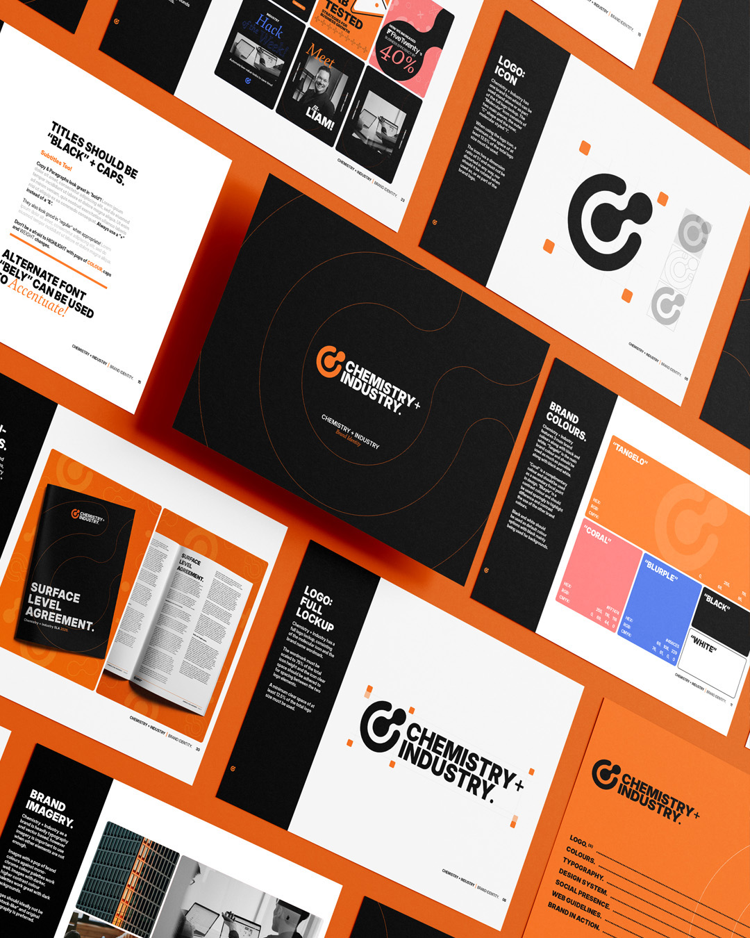 Portfolio project image 2